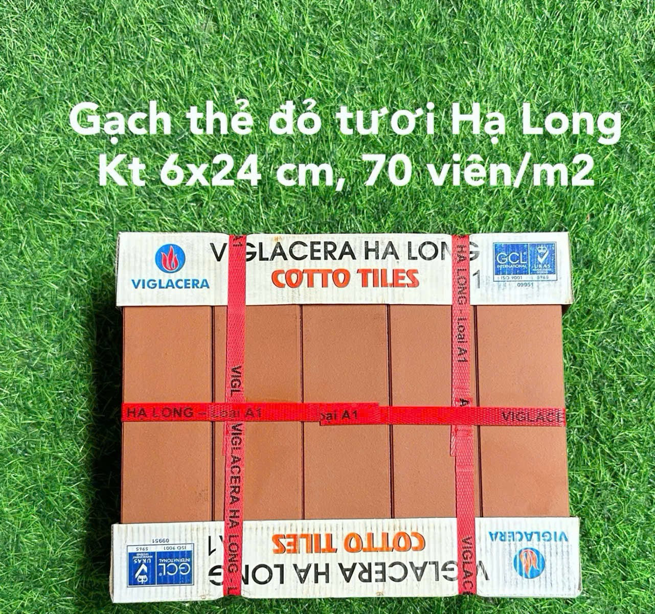 Gạch Thẻ Đỏ Tươi Cotto Viglacera Hạ long 6x24 cm